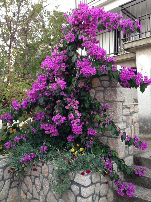 קרס Guesthouse Maver חדר תמונה
